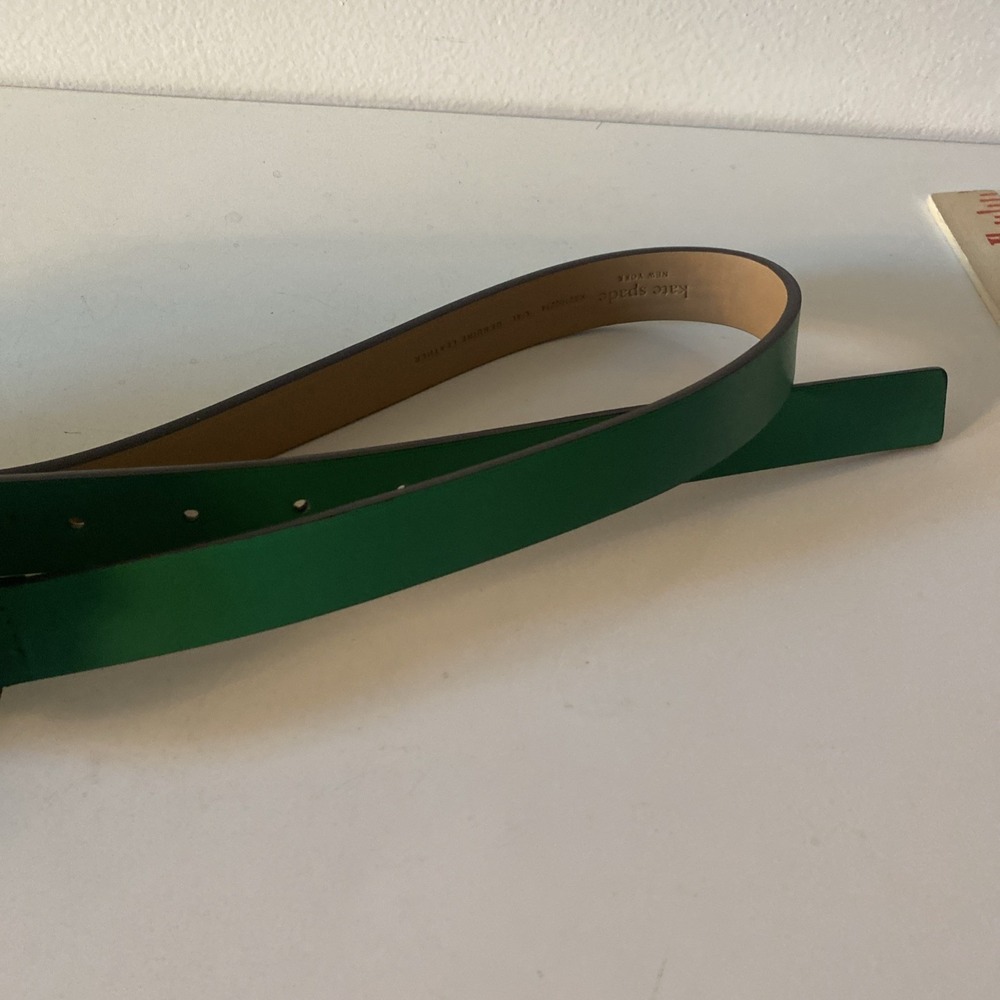 Kate Spade Leather Belt Bag Travel Fanny Pack Size L/XL Green EUC Minimalist - Picture 2 of 9